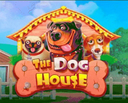 Play The Dog House in Bananzia Casino